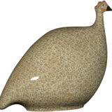 Brown Spotted White Guinea Fowl