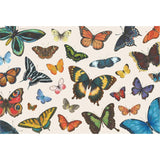 Butterfly Flight Placemats
