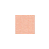 Easy Salmon Beverage Napkin