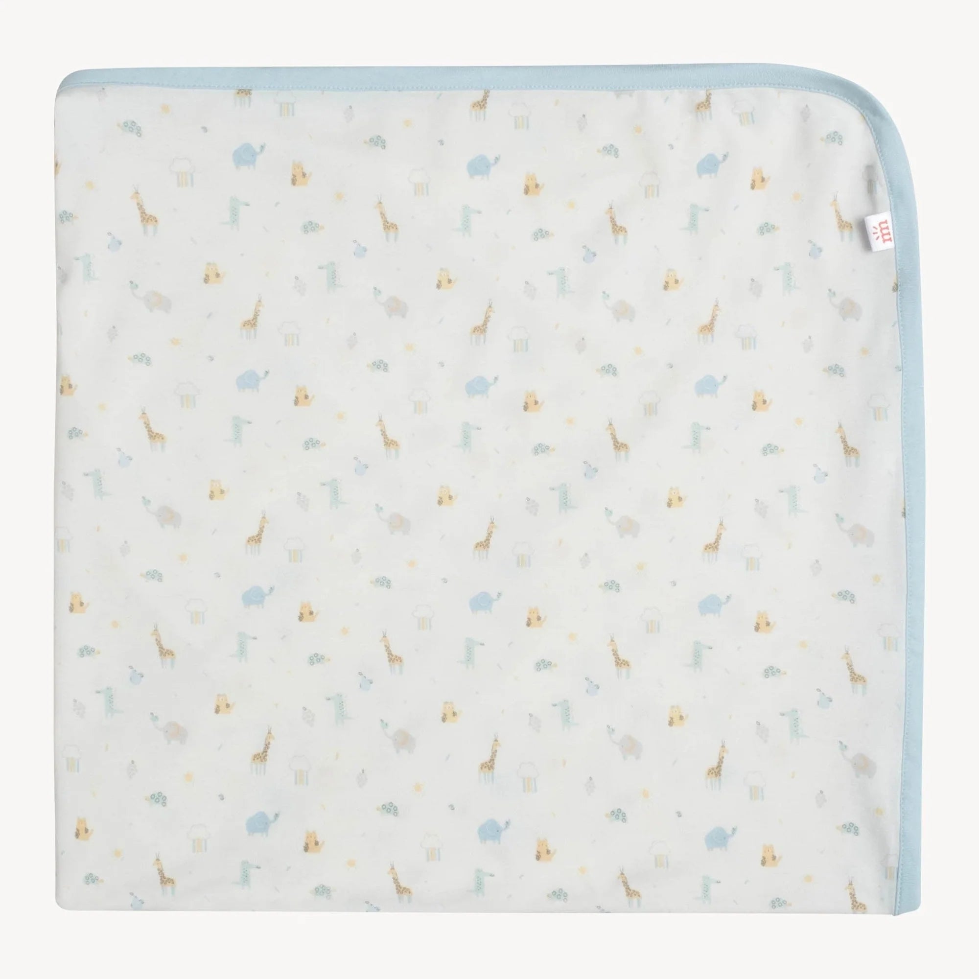 Bitty baby blanket sale
