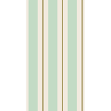 Seafoam & Gold Awning Striped Guest Napkins