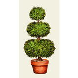 Topiary Guest Napkin
