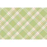 Bright Green Plaid Placemat