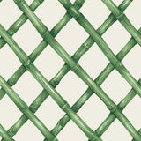 Green Lattice Beverage Napkins