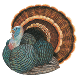 Die-cut Heritage Turkey Placemat