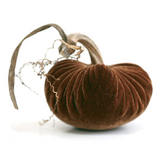 Acorn Pumpkin