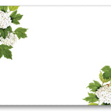 Hydrangea White Box Set