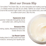 The Dream Slip® Overnight Lip Mask