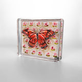 Monarch Butterfly on Peach Block