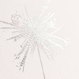 Peppermints Holiday Greeting Card