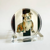 BULLDOG IN CLASSIC MAROON GAME DAY COASTER