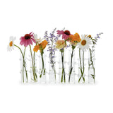 Hinged Vase Vase Set of 8