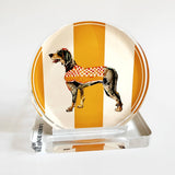 HOUND DOG GAME DAY COASTER