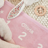 Milestone Mini Blush Blanket