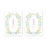 Mother Goose Milestone Cards