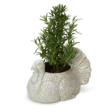Turkey Cachepot