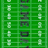 Game Day Field Guest Napkin