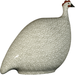 White Spotted Grey Guinea Fowl