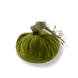 Chartreuse Pumpkin