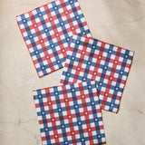 Bunting Check Dishcloth