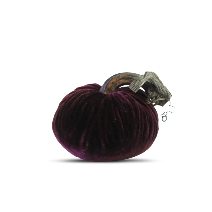 Eggplant Pumpkin