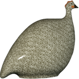 Grey Spotted White Guinea Fowl