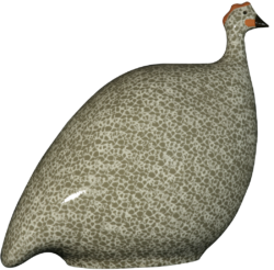 Grey Spotted White Guinea Fowl