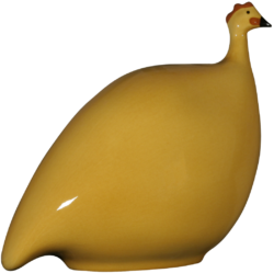 Solid Honey Yellow Guinea Fowl