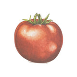 Tomato Place Card