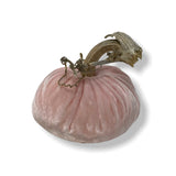 Pale Pink Pumpkin