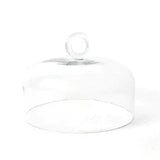 Ring Handle 10 Glass Dome