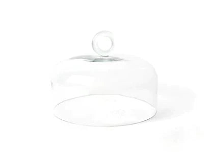 Ring Handle 10 Glass Dome