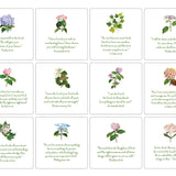 Hydrangea- 24 Verses