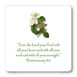 Hydrangea- 24 Verses