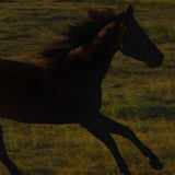 Runaway Quickdraw Perfume