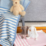 Baby Blues Mini Blanket