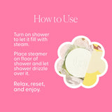 Eucalyptus & Mint Shower Steamers