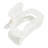 Ice Chip Odessa Claw Clip