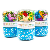 Sensory Grab & Go Jars
