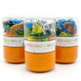 Sensory Grab & Go Jars