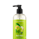 Ginger Pomelo Hand Soap
