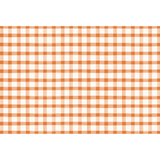 Orange Painted Check Placemats