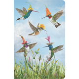 Hummingbirds notebook