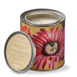 Citro + Tropical Fruits Tin
