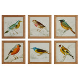 Bird on Branch Framed Print