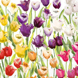 Tulipfield Bev Napkin