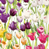 Tulipfield Guest Napkin