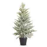 Potted Flocked Pine Tree