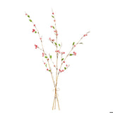 Pink Berry Bundle