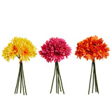 Gerber Daisy Bundle